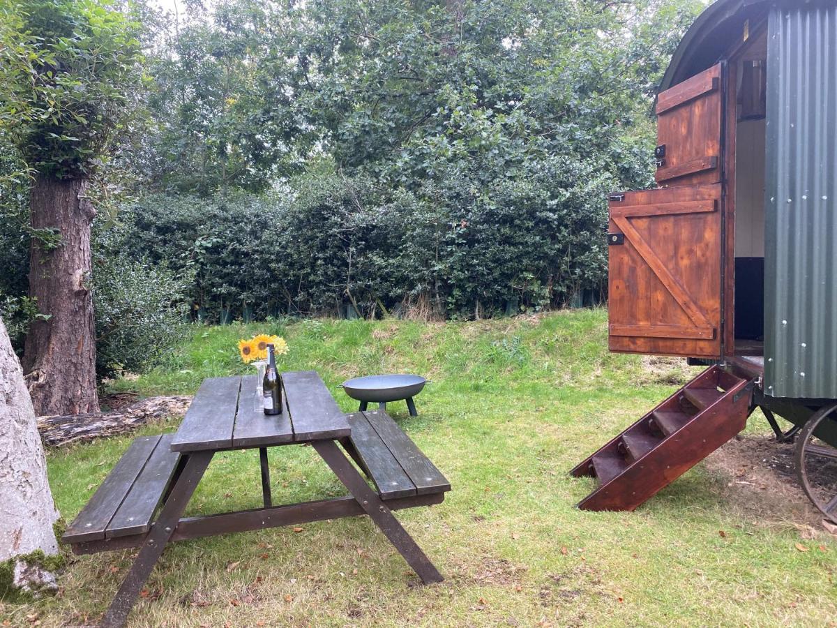 The Shepherd'S Hut - Wild Escapes Wrenbury Off Grid Glamping - Ages 12 And Over Baddiley Экстерьер фото